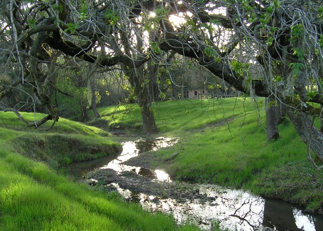 Kelly Creek